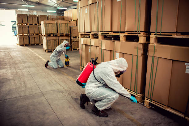 Best Pest Removal Services  in Farragut, TN