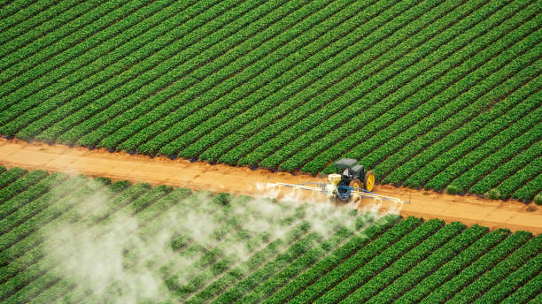 Best Mosquito Control Services  in Farragut, TN